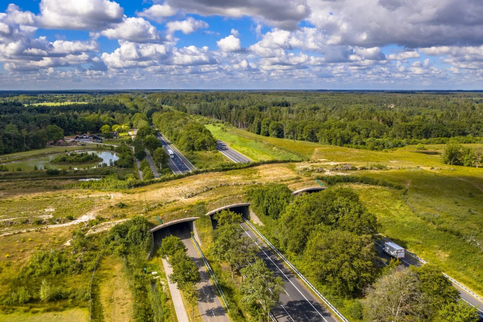 Ecoduct over een snelweg